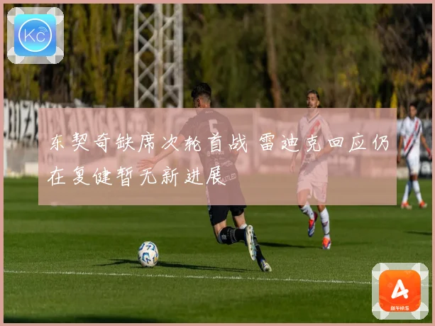 东契奇缺席次轮首战 雷迪克回应仍在复健暂无新进展