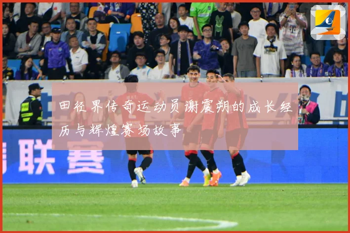 田径界传奇运动员谢震朔的成长经历与辉煌赛场故事
