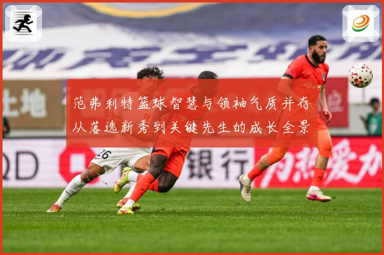 范弗利特篮球智慧与领袖气质并存从落选新秀到关键先生的成长全景解析