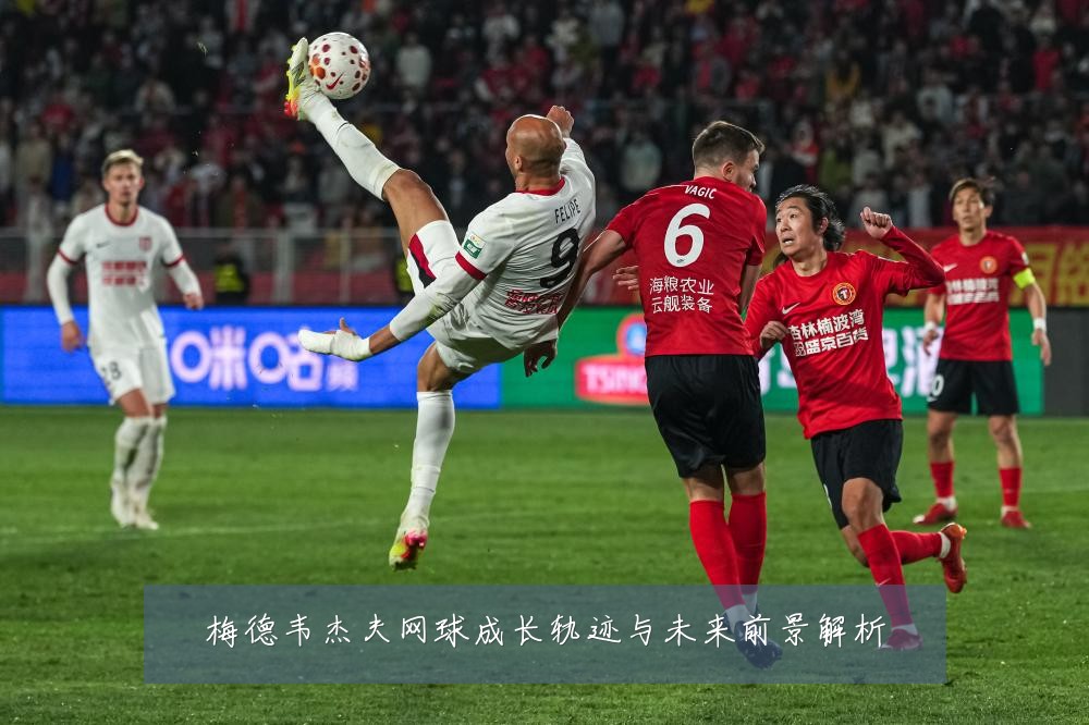 梅德韦杰夫网球成长轨迹与未来前景解析